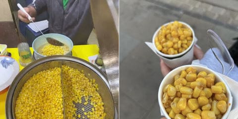https://cdn.shopify.com/s/files/1/0265/4958/3927/files/fruit_treat_article_2_63c358b5-8ccf-44b0-8e29-f76ce02db10c_480x480.jpg?v=1725086456